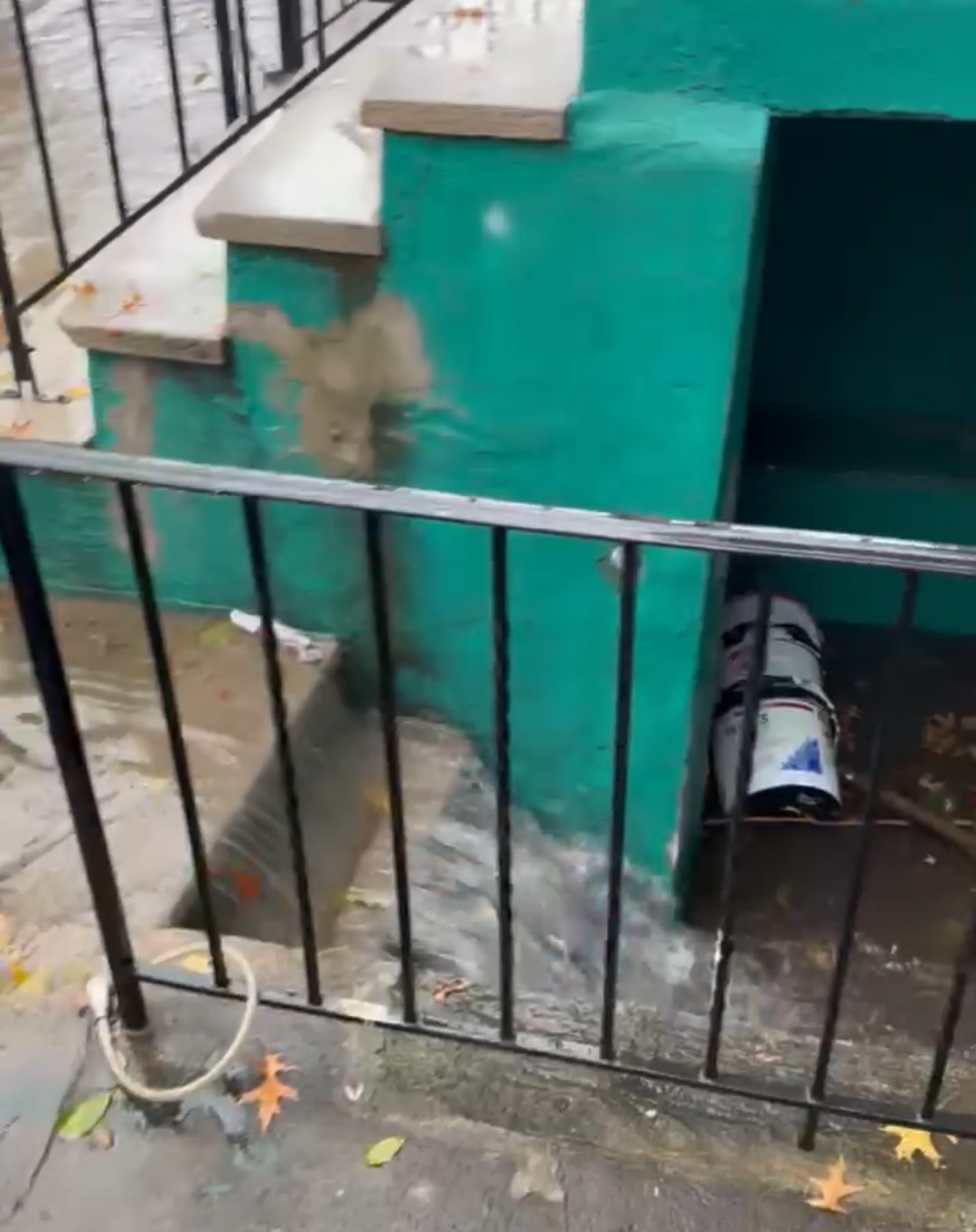 Professional flood cleanup and water extraction service in Fairfield County, CT